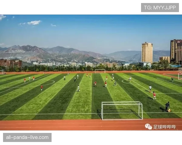 人工草场是否影响比赛规则？国际足联对场地材质的判罚标准解析